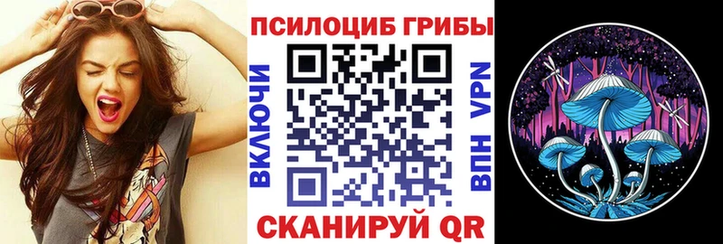 Купить где  Лиски  Псилоцибиновые грибы GOLDEN TEACHER 